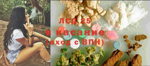 мяу мяу мука Баксан