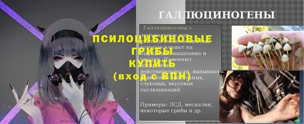 мяу мяу мука Баксан