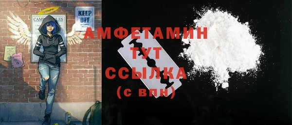 ГАЛЛЮЦИНОГЕННЫЕ ГРИБЫ Балахна