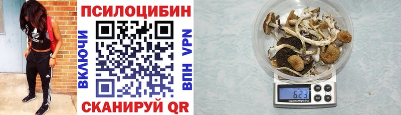 Галлюциногенные грибы мухоморы  продажа наркотиков  Кубинка 