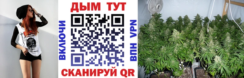 Каннабис конопля  Кубинка 
